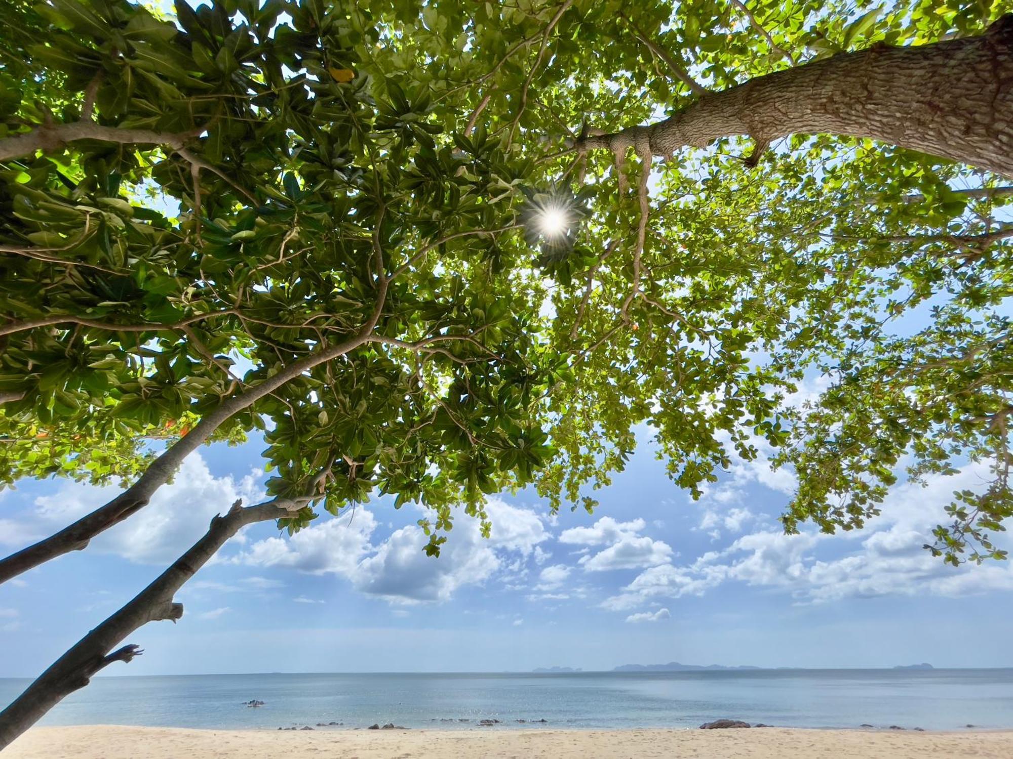 Cha Cha Bungalow Koh Jum Ngoại thất bức ảnh